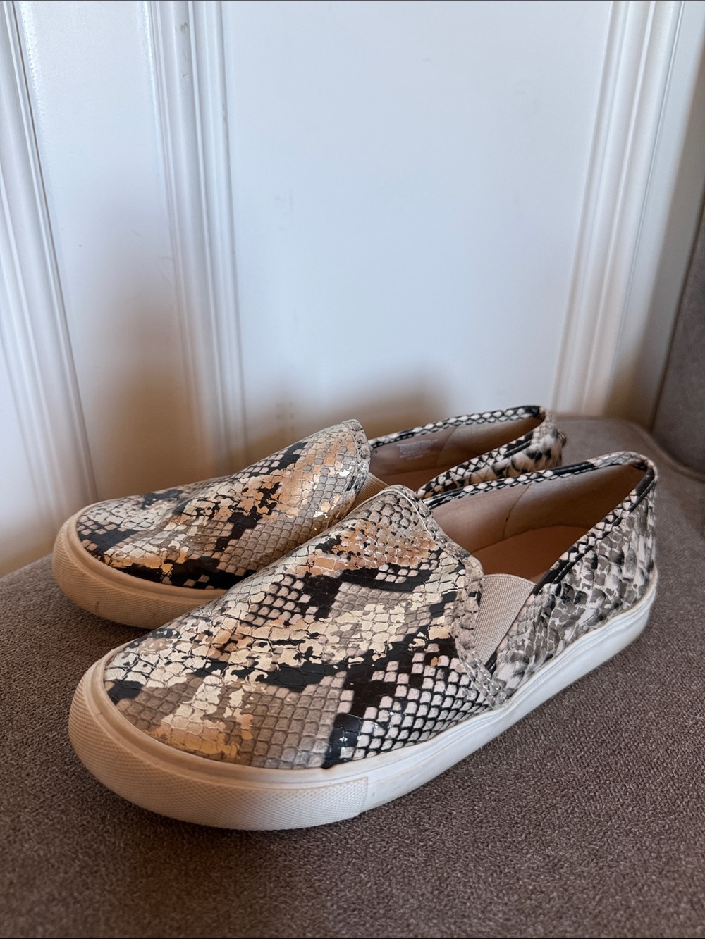 Steve Madden Women's Snake-Print Slip-On Sneakers in Black, White, Beige